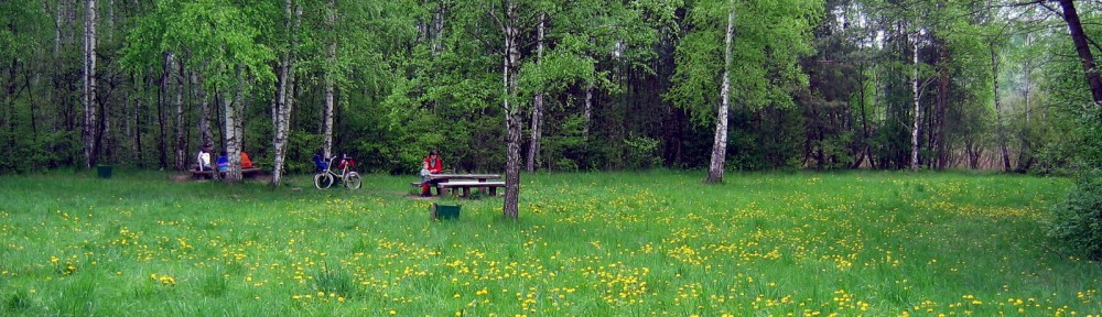 Piotrowisko