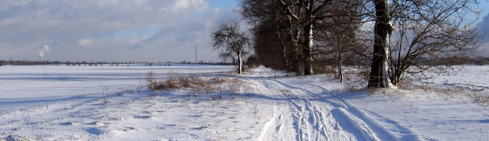 Piotrowisko
